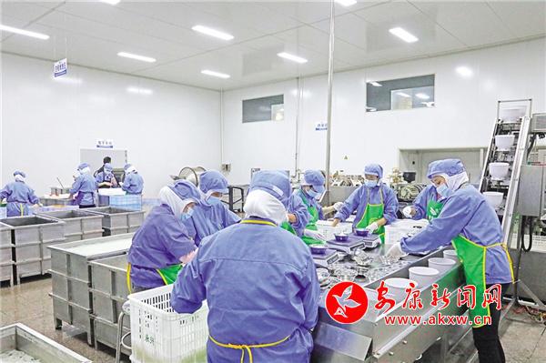 安康富硒茶发展（安康茶富硒发展前景）-硒宝网