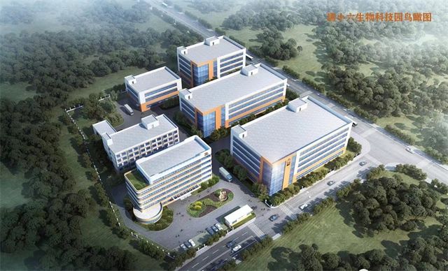 洪锦春 富硒茶（锦弘茶文化传媒有限公司）-硒宝网