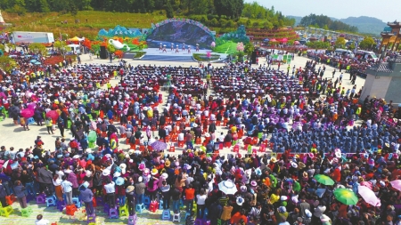 南江富硒茶论坛（富硒茶园）-硒宝网