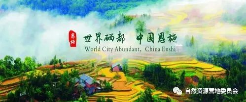 湖北富硒茶品种（湖北富硒茶是绿茶吗）-硒宝网