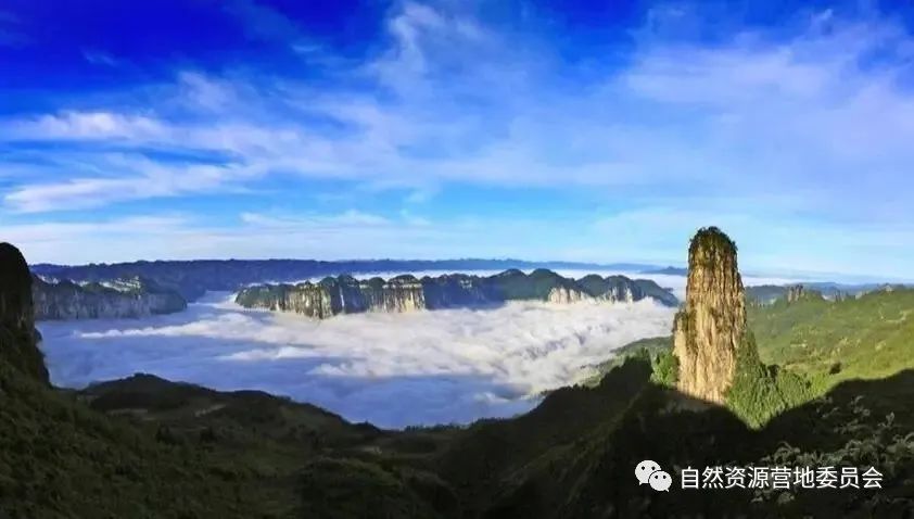 湖北富硒茶品种（湖北富硒茶是绿茶吗）-硒宝网