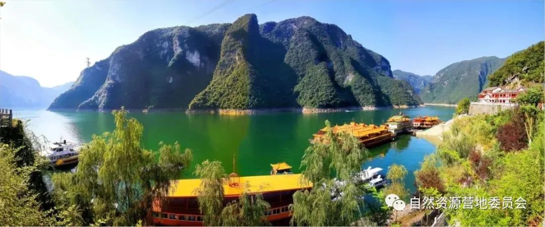 湖北富硒茶品种（湖北富硒茶是绿茶吗）-硒宝网