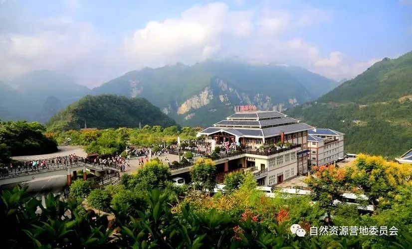 湖北富硒茶品种（湖北富硒茶是绿茶吗）-硒宝网