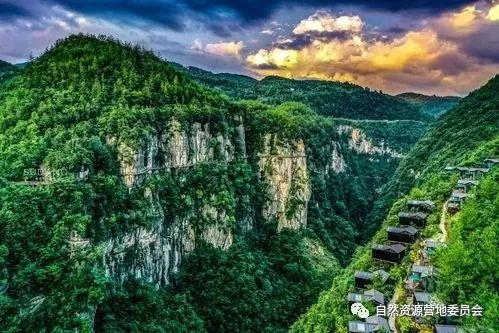 湖北富硒茶品种（湖北富硒茶是绿茶吗）-硒宝网