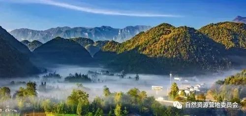 湖北富硒茶品种（湖北富硒茶是绿茶吗）-硒宝网