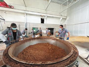 桑叶富硒茶功效（给我搜一下桑叶茶的功效）-硒宝网