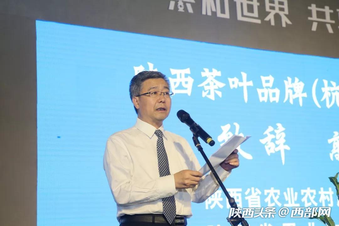 紫阳富硒茶直播（紫阳富硒茶文化）-硒宝网