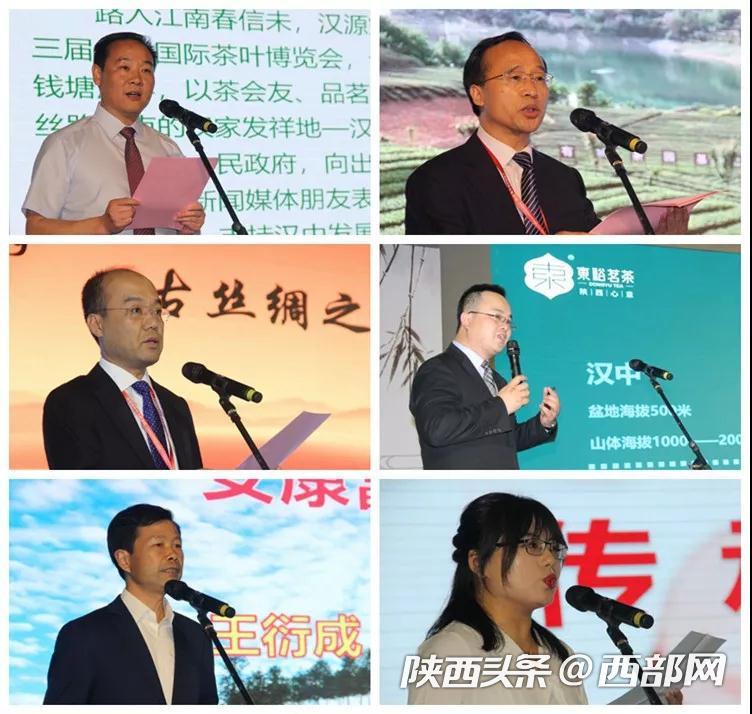 紫阳富硒茶直播（紫阳富硒茶文化）-硒宝网