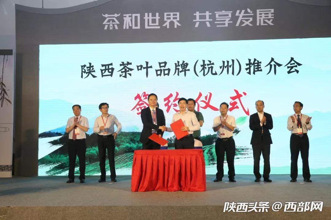 紫阳富硒茶直播（紫阳富硒茶文化）-硒宝网