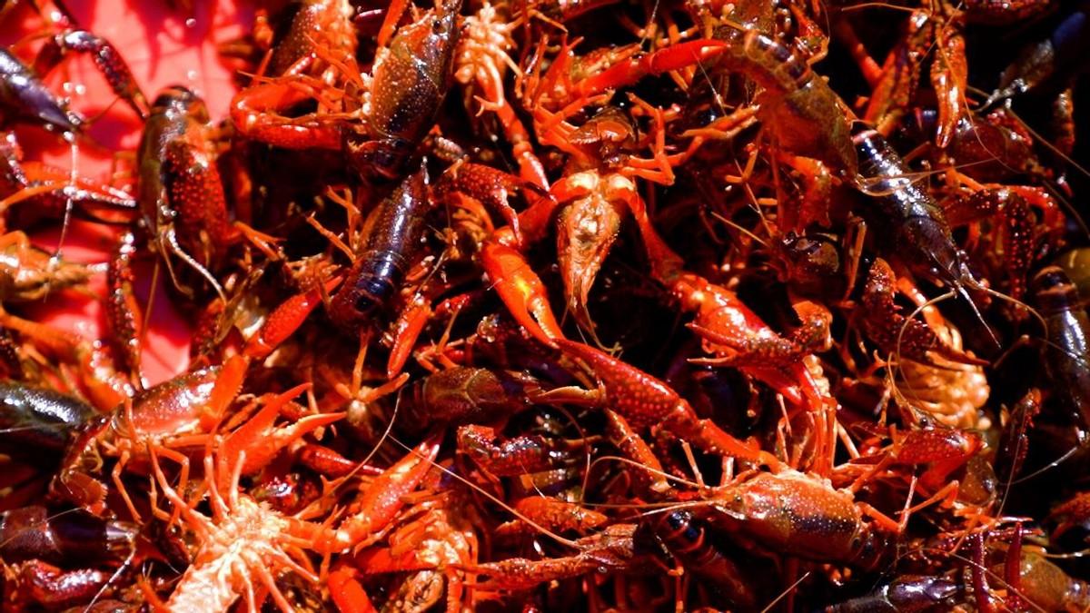 江西黄金富硒茶（江西黄金茶富硒产地）-硒宝网