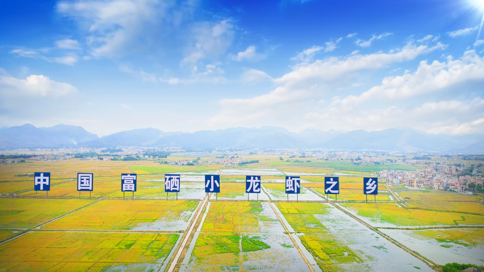 江西黄金富硒茶（江西黄金茶富硒产地）-硒宝网