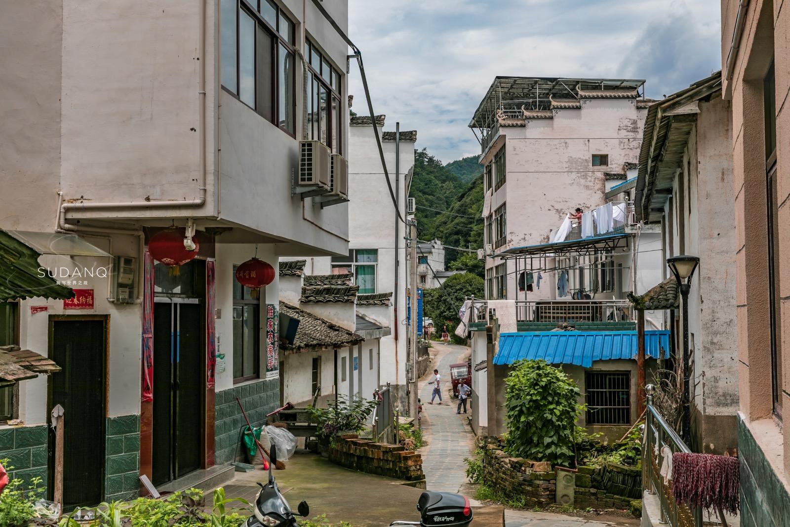 安徽野生富硒茶(安徽富硒野茶多少钱一斤)-硒宝网