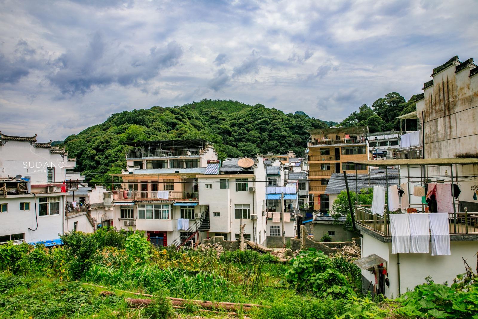 安徽野生富硒茶(安徽富硒野茶多少钱一斤)-硒宝网