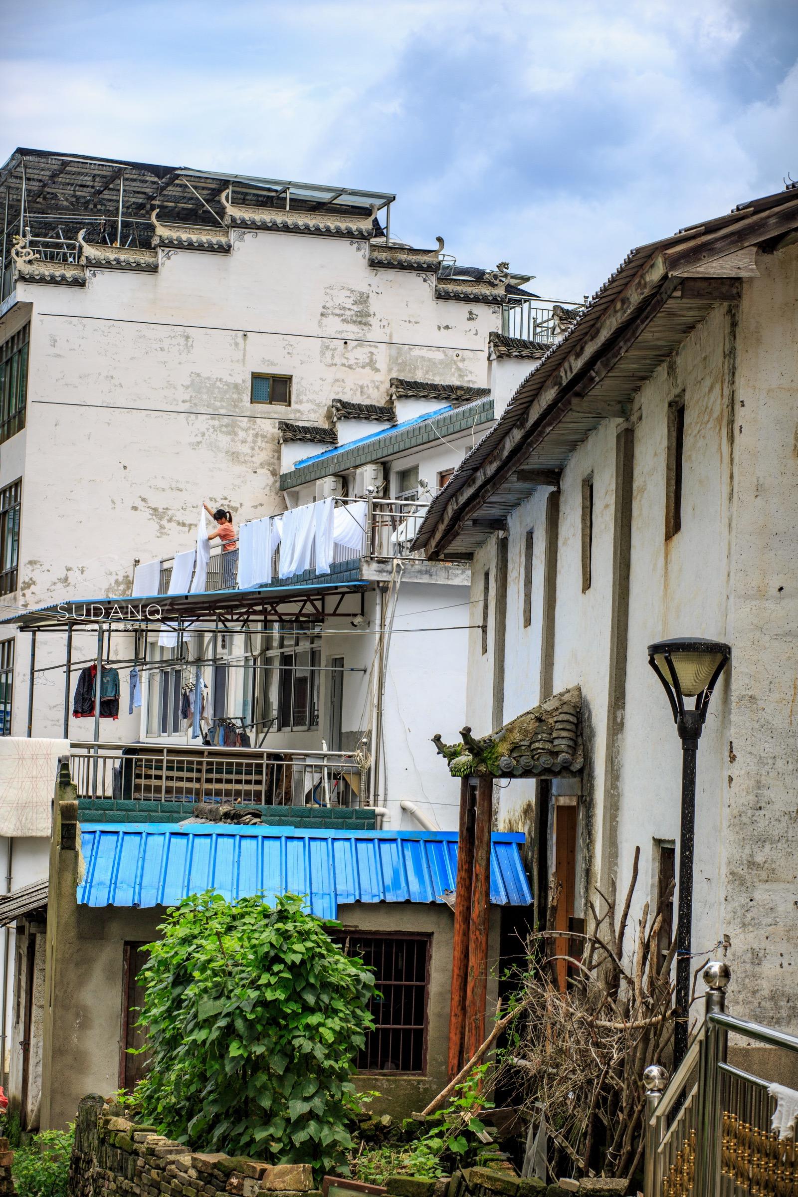 安徽野生富硒茶(安徽富硒野茶多少钱一斤)-硒宝网