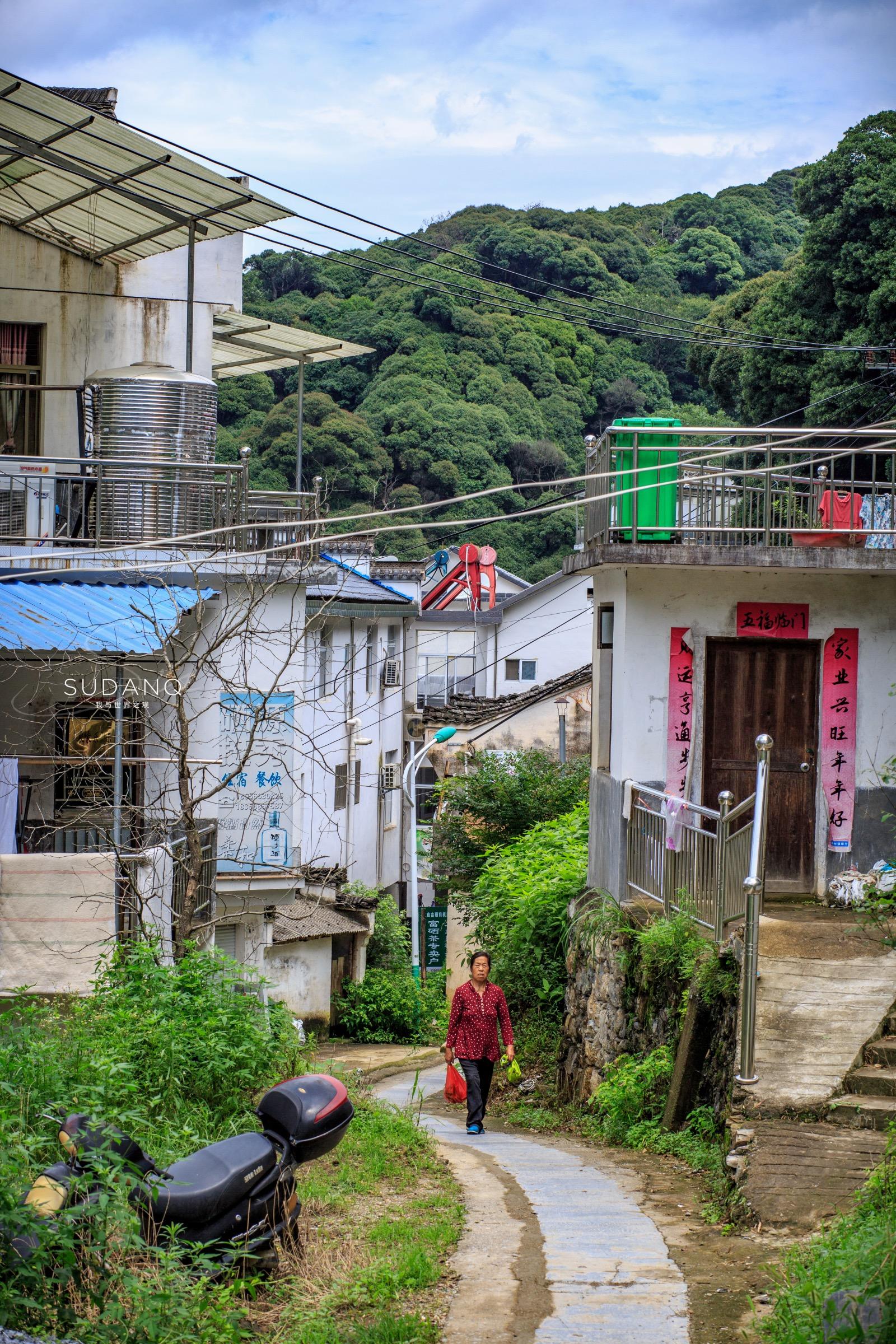 安徽野生富硒茶(安徽富硒野茶多少钱一斤)-硒宝网