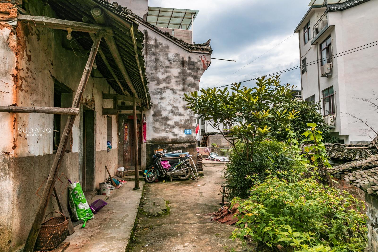 安徽野生富硒茶(安徽富硒野茶多少钱一斤)-硒宝网