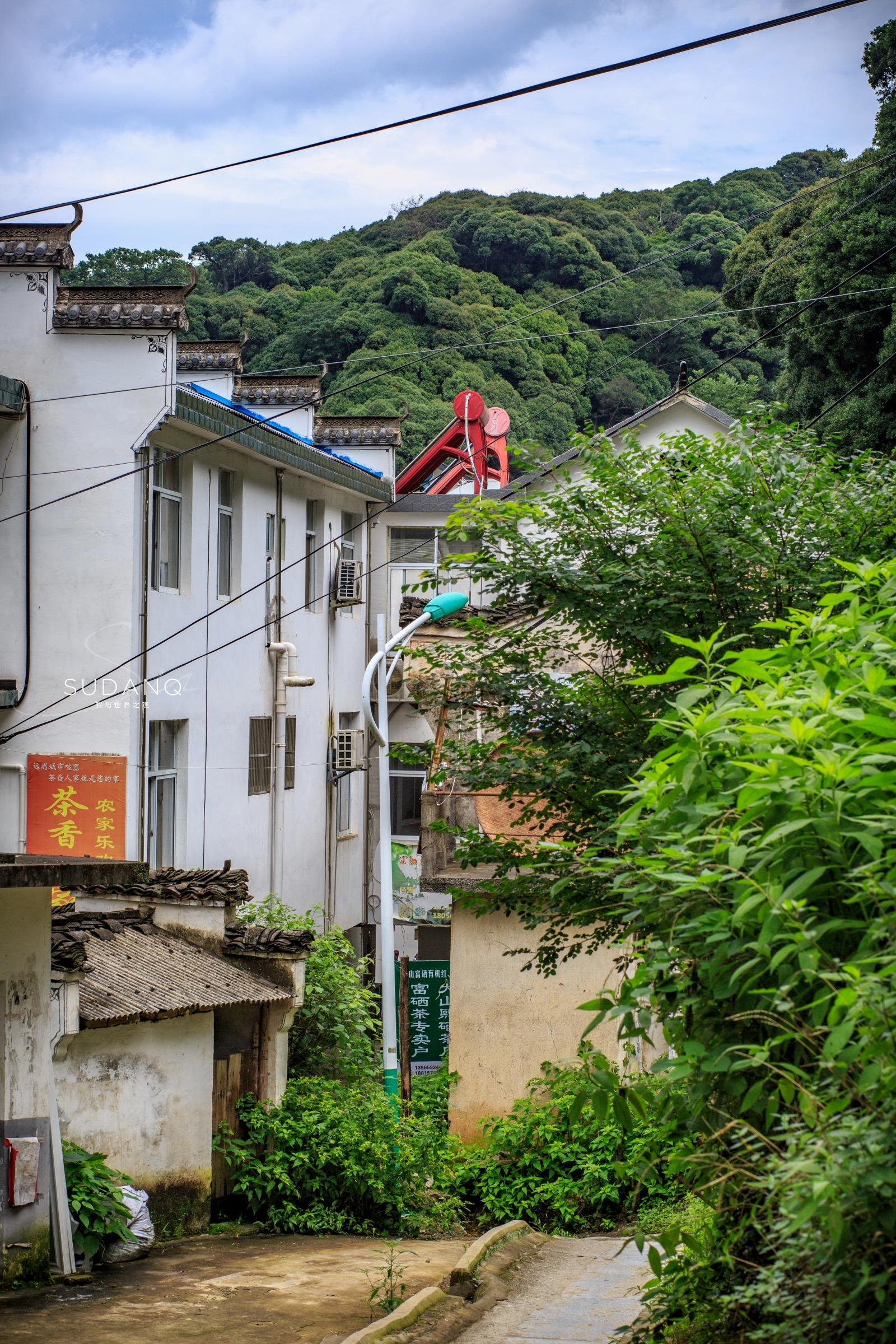 安徽野生富硒茶(安徽富硒野茶多少钱一斤)-硒宝网