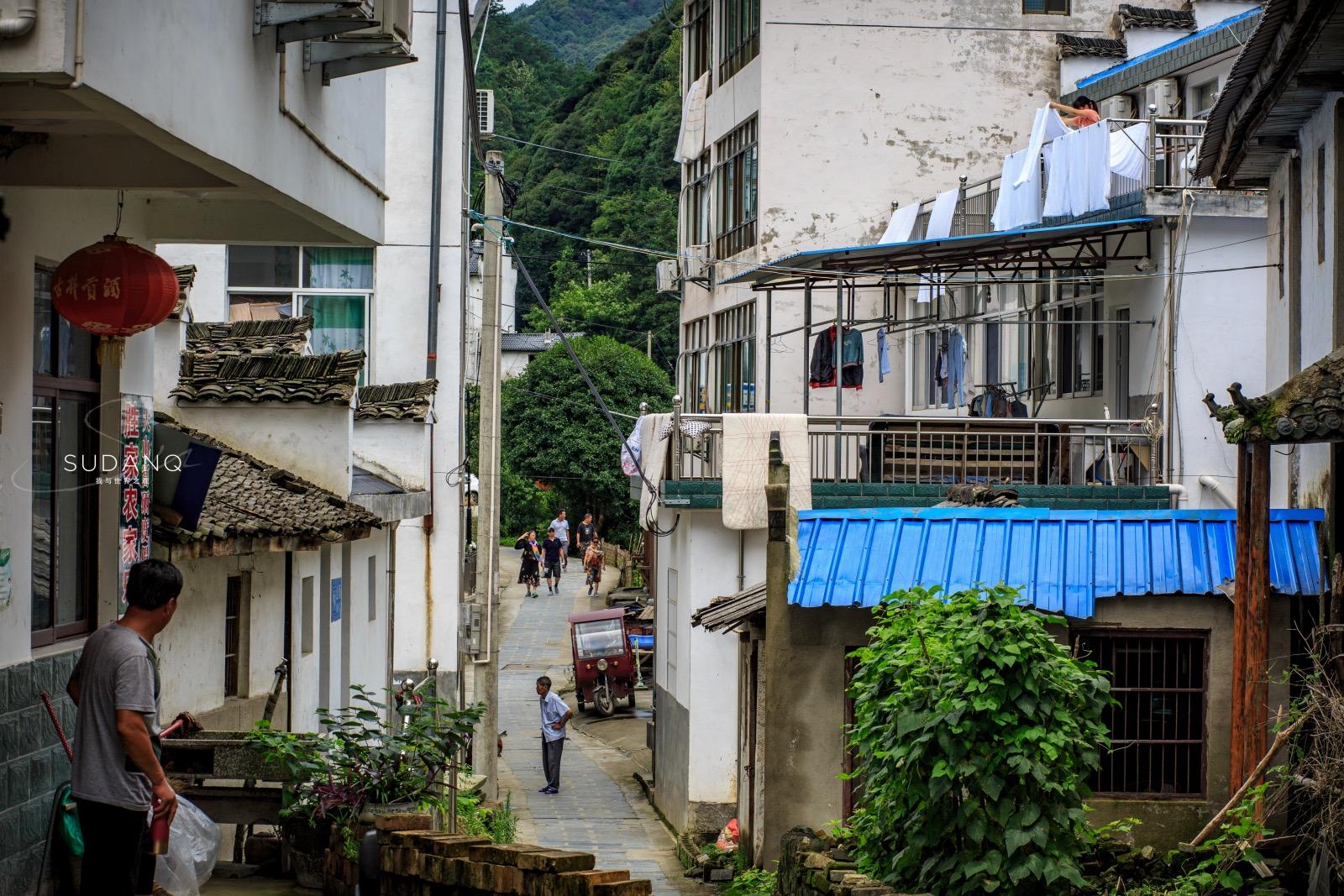 安徽野生富硒茶(安徽富硒野茶多少钱一斤)-硒宝网