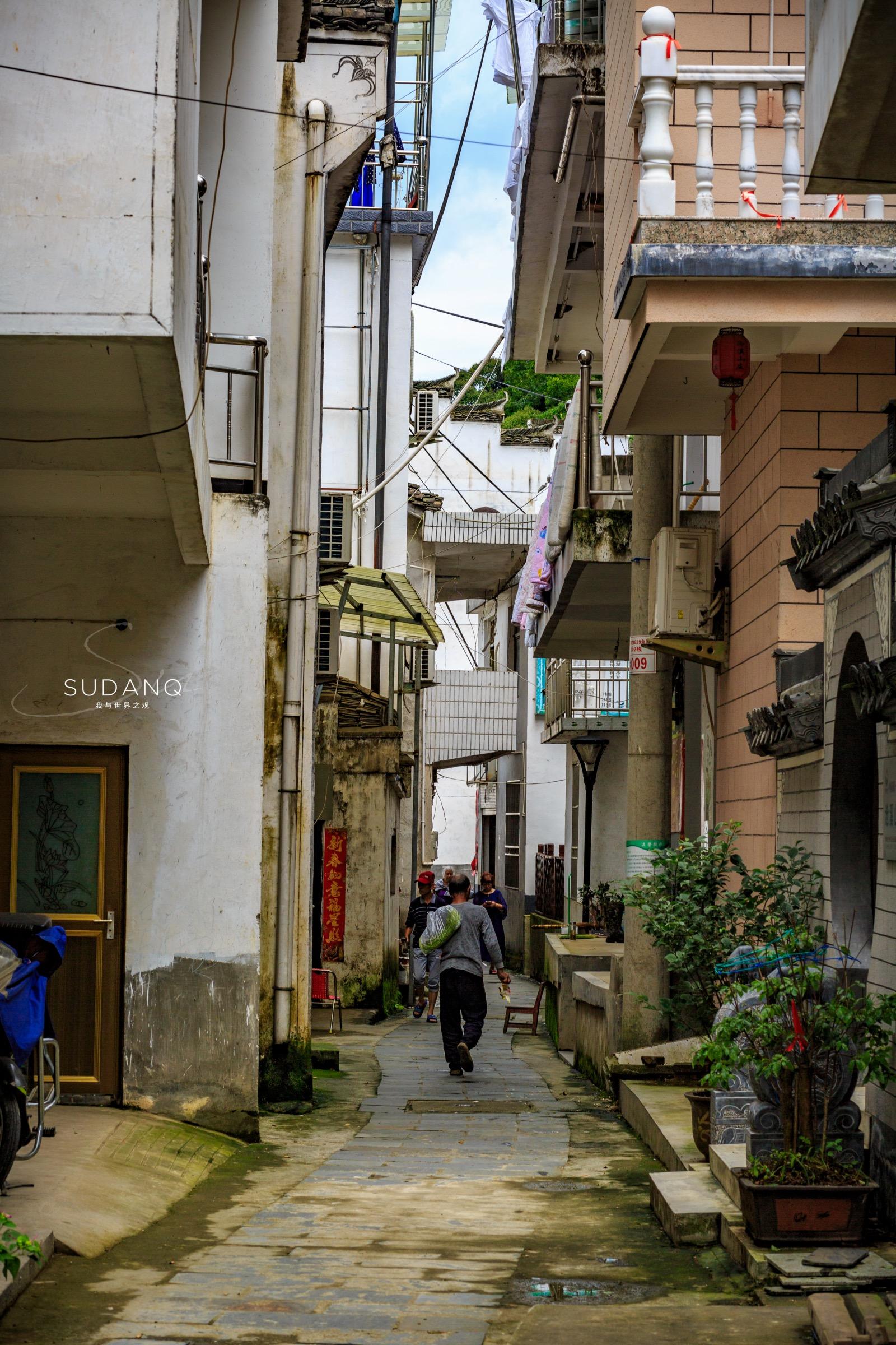 安徽野生富硒茶(安徽富硒野茶多少钱一斤)-硒宝网
