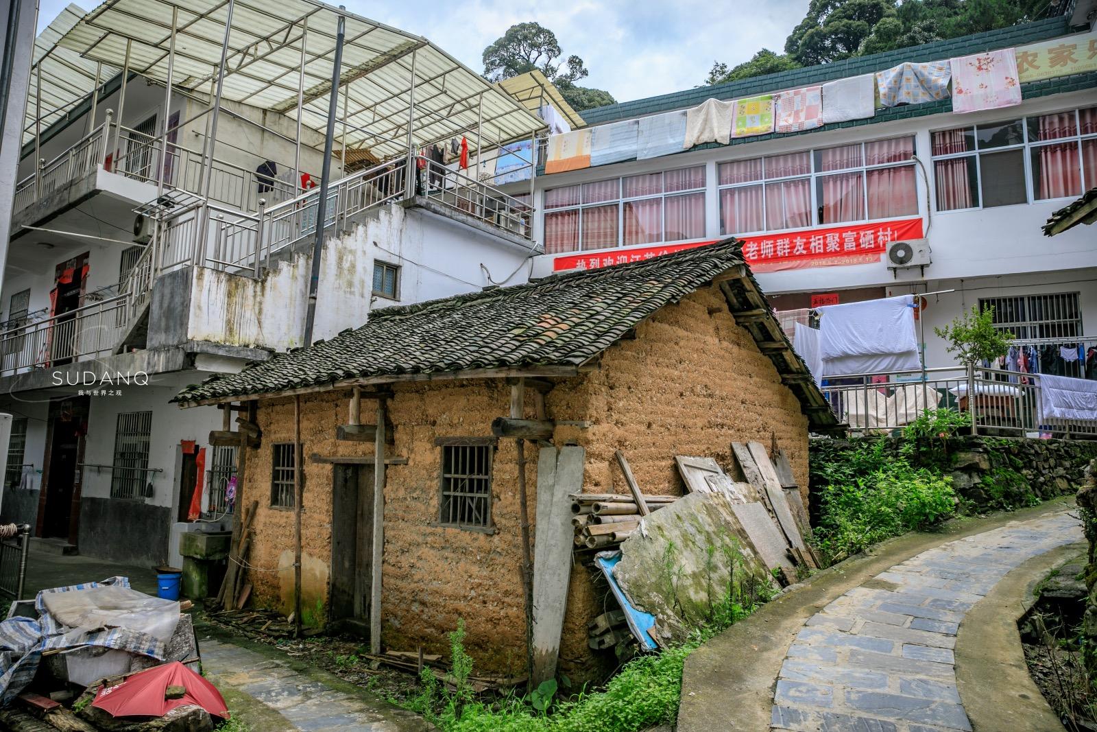 安徽野生富硒茶(安徽富硒野茶多少钱一斤)-硒宝网