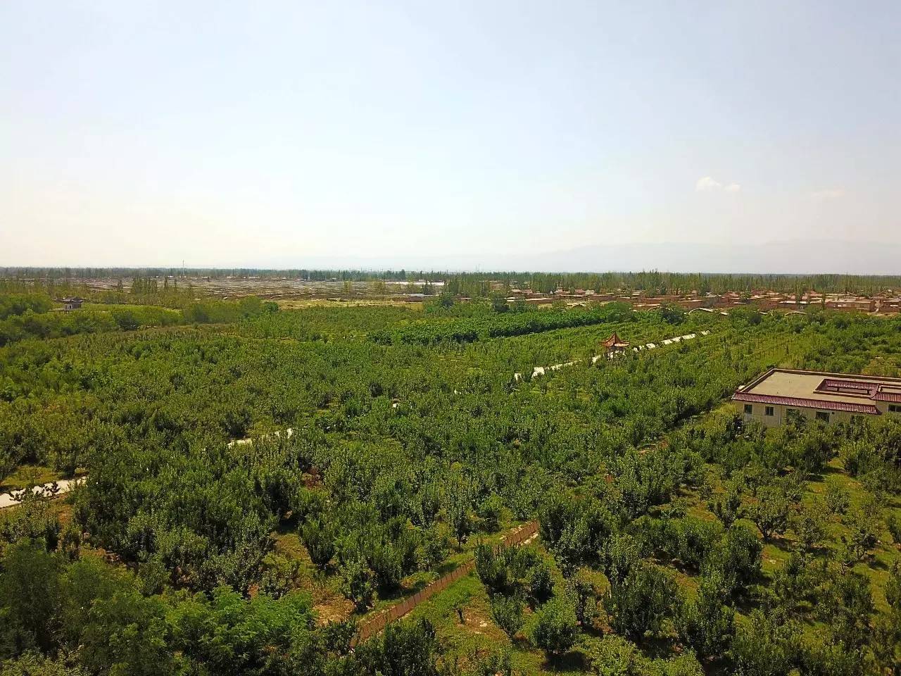 辽宁富硒茶加工(安康富硒茶加工工艺)-硒宝网