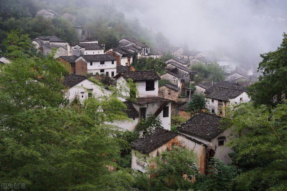 安徽野生富硒茶（安徽富硒茶产地）-硒宝网