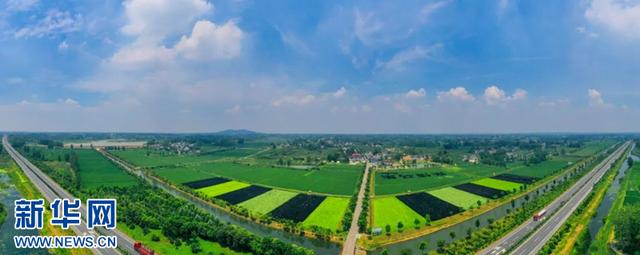 富硒茶在线农?。ǜ晃柙谙吲┏。?硒宝网