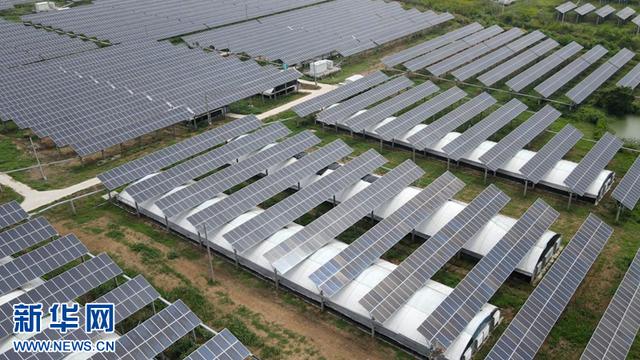 富硒茶在线农?。ǜ晃柙谙吲┏。?硒宝网