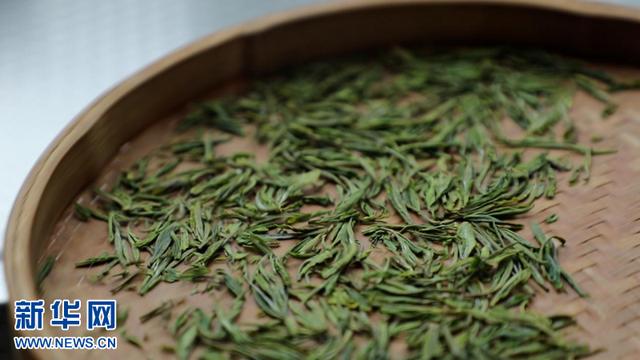 富硒茶在线农?。ǜ晃柙谙吲┏。?硒宝网