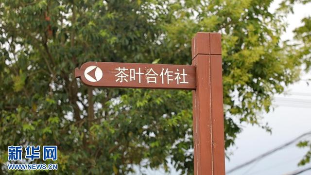 富硒茶在线农?。ǜ晃柙谙吲┏。?硒宝网