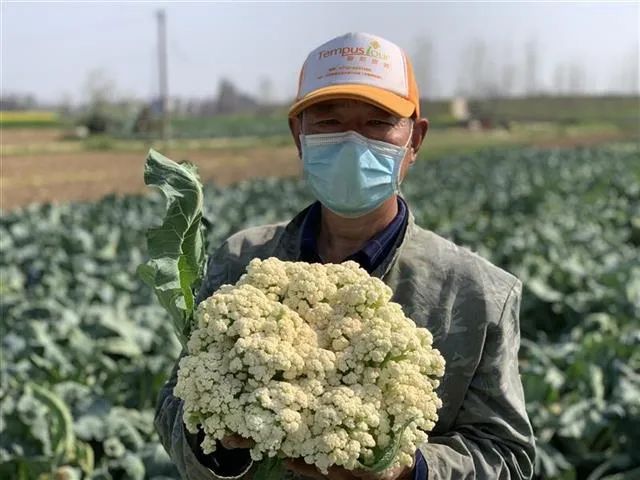 恩施富硒茶地标(茶道印象恩施富硒茶)-硒宝网