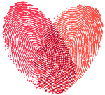 恩施富硒茶地标(茶道印象恩施富硒茶)-硒宝网