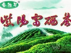 紫阳富硒茶形状(紫阳富硒茶是绿茶吗)-硒宝网