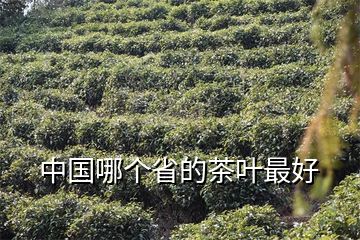 施恩富硒茶云雾（云雾茶功效）-硒宝网