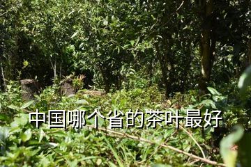 施恩富硒茶云雾（云雾富硒茶怎么样）-硒宝网