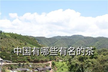 施恩富硒茶云雾（云雾富硒茶怎么样）-硒宝网