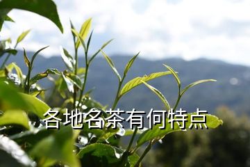 施恩富硒茶云雾（云雾富硒茶怎么样）-硒宝网
