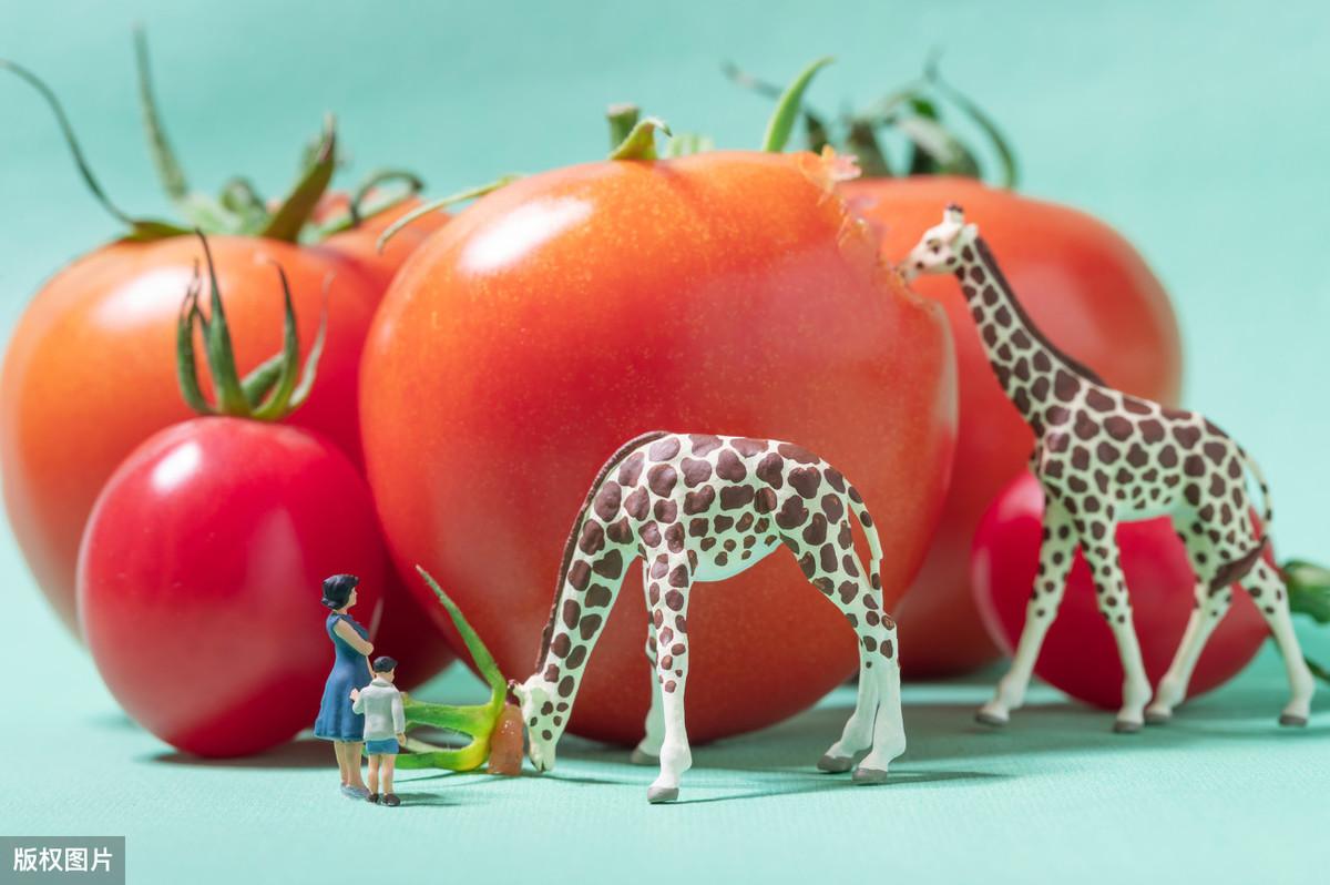 补锌什么时间段最好（锌啥时候补好）-硒宝网