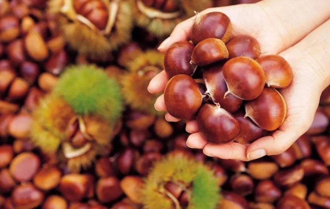 恩施富硒茶困境(恩施富硒茶绿茶)-硒宝网