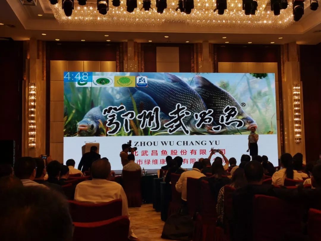 恩施富硒茶困境(恩施富硒茶绿茶)-硒宝网