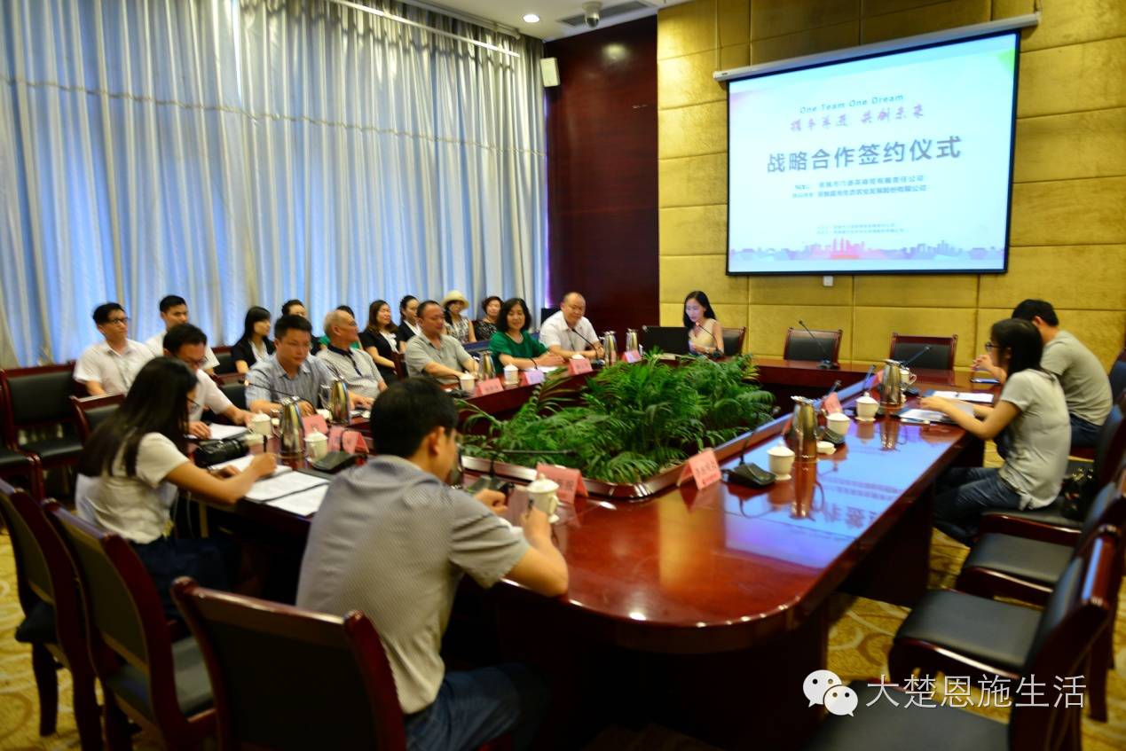 恩施茶叶富硒茶(恩施富硒茶叶多少钱一斤)-硒宝网