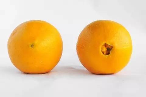 富硒茶啤酒真假(富硒茶啤酒吧)-硒宝网