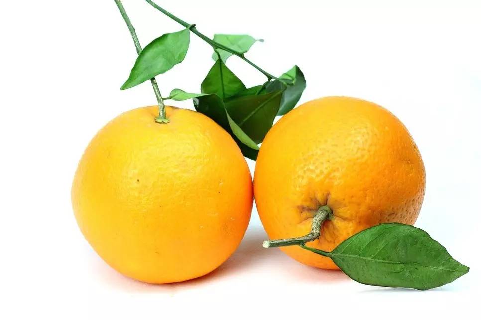 富硒茶啤酒真假(富硒茶啤酒吧)-硒宝网