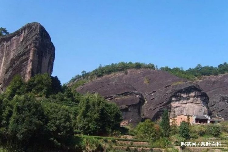 石台富硒茶特点(石台富硒茶叶)-硒宝网