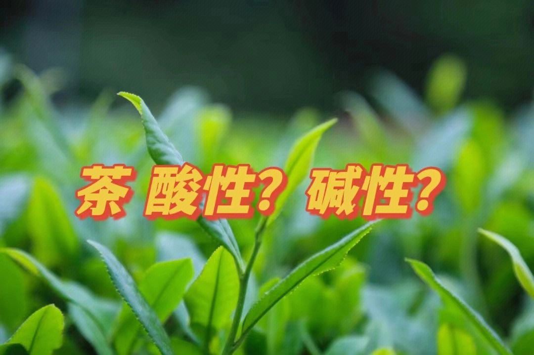 安徽富硒茶品牌(安徽茶富硒品牌排名)-硒宝网