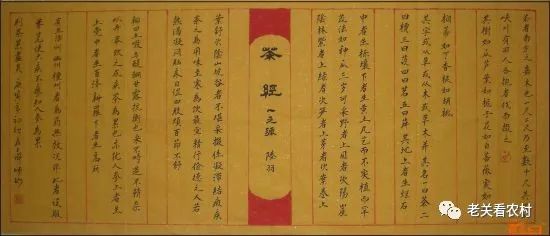 安徽富硒茶玉露(恩施玉露茶和富硒茶一样吗)-硒宝网