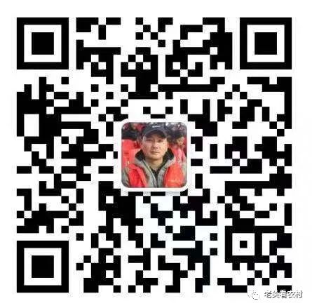 安徽富硒茶玉露(恩施玉露茶和富硒茶一样吗)-硒宝网