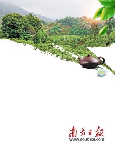 潮州富硒有机茶(漳州富硒茶)-硒宝网