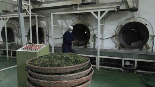 紫阳富硒茶小包(紫阳富硒茶视频)-硒宝网