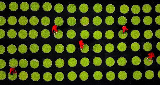 潮州富硒有机茶（富硒茶庄）-硒宝网